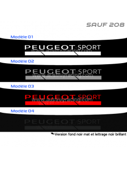 Bande pare soleil Peugeot...
